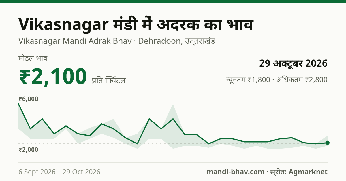 Vikasnagar मंडी में अदरक का भाव 29 अक्टूबर 2026: मोडल ₹2,100 प्रति क्विंटल, भाव के रुझान का चार्ट