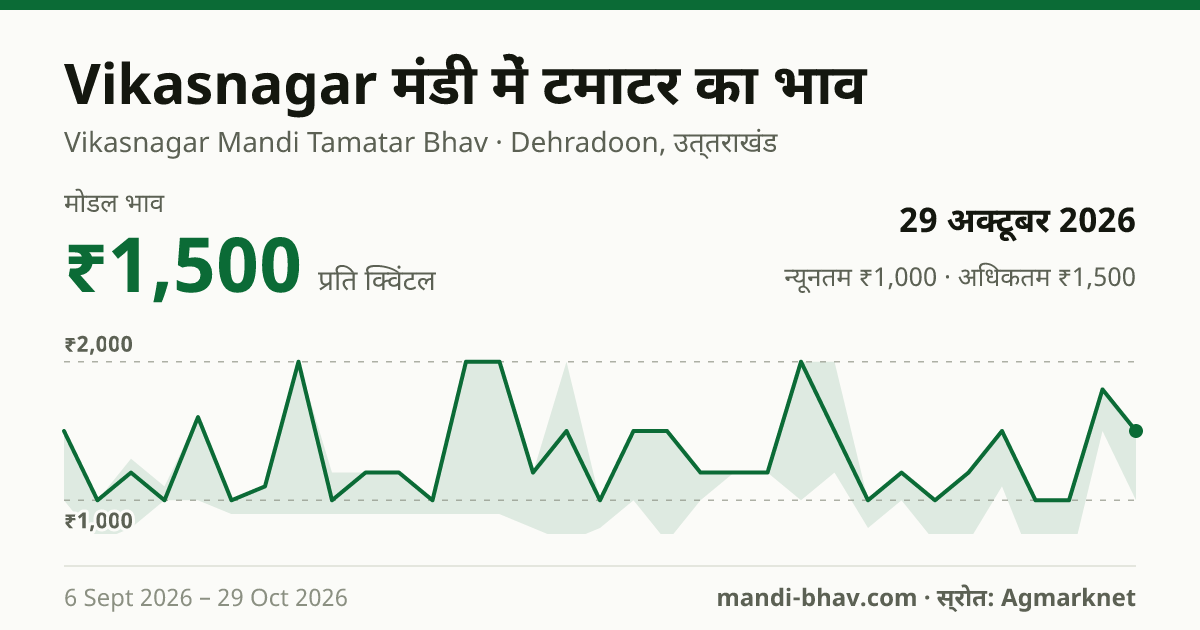 Vikasnagar मंडी में टमाटर का भाव 29 अक्टूबर 2026: मोडल ₹1,500 प्रति क्विंटल, भाव के रुझान का चार्ट
