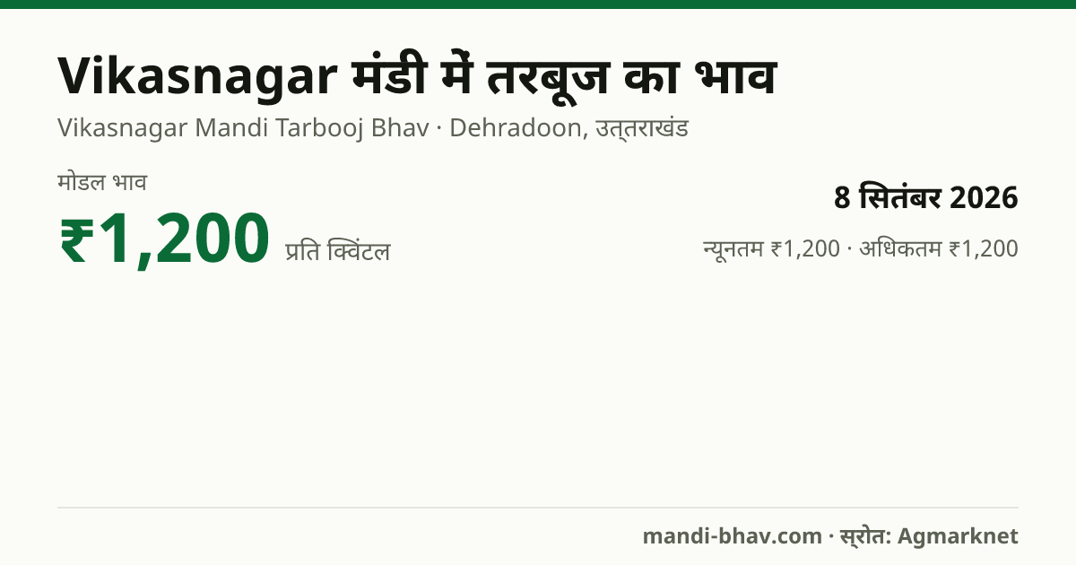 Vikasnagar मंडी में तरबूज का भाव 8 सितंबर 2026: मोडल ₹1,200 प्रति क्विंटल, भाव के रुझान का चार्ट