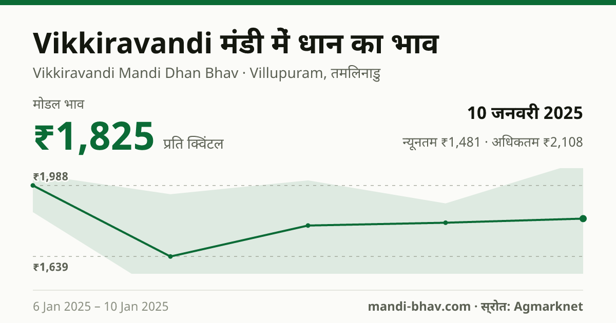 Vikkiravandi मंडी में धान का भाव 10 जनवरी 2025: मोडल ₹1,825 प्रति क्विंटल, भाव के रुझान का चार्ट