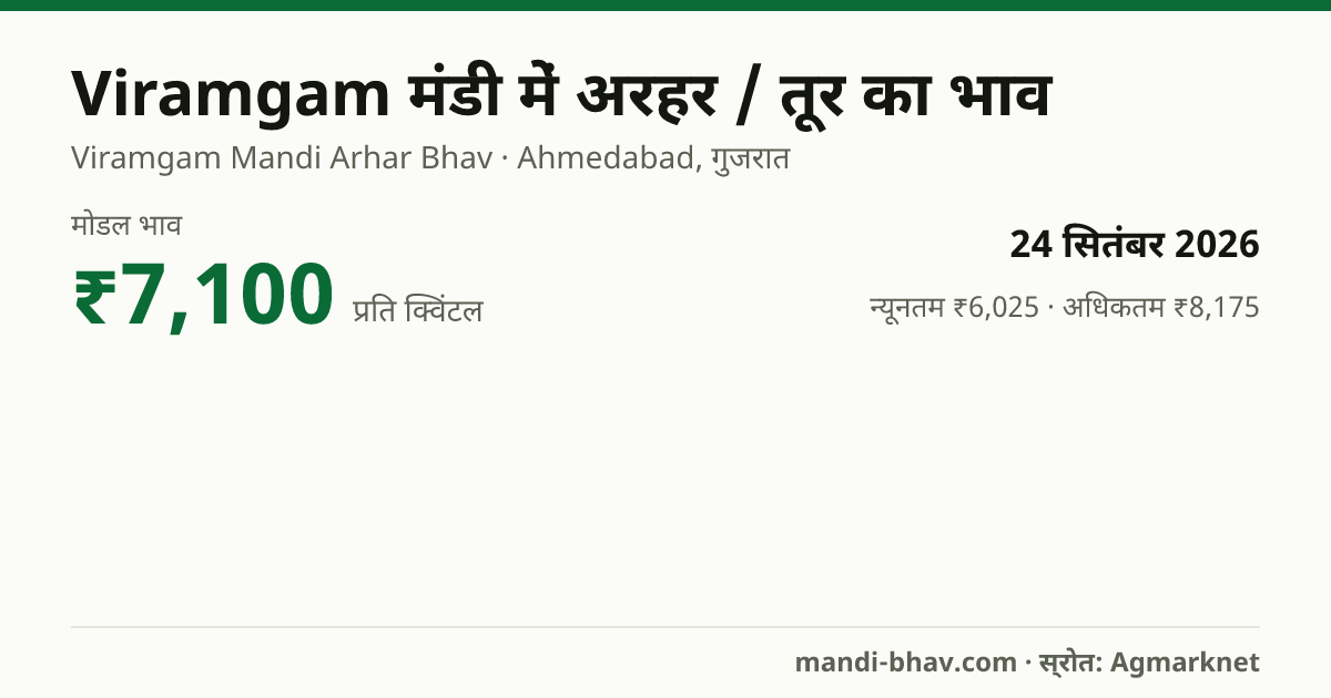 Viramgam मंडी में अरहर / तूर का भाव 24 सितंबर 2026: मोडल ₹7,100 प्रति क्विंटल, भाव के रुझान का चार्ट