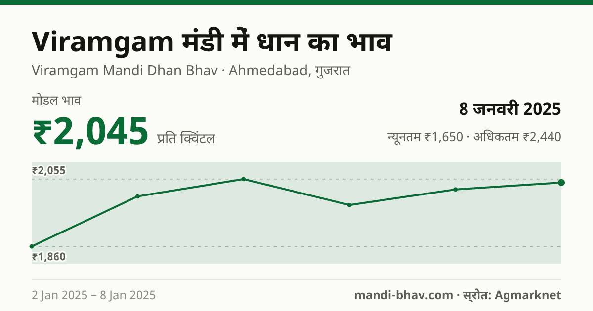 Viramgam मंडी में धान का भाव 8 जनवरी 2025: मोडल ₹2,045 प्रति क्विंटल, भाव के रुझान का चार्ट