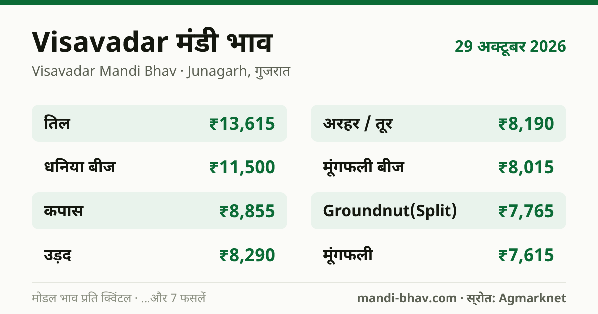 Visavadar मंडी भाव 29 अक्टूबर 2026: फसलवार मोडल रेट प्रति क्विंटल