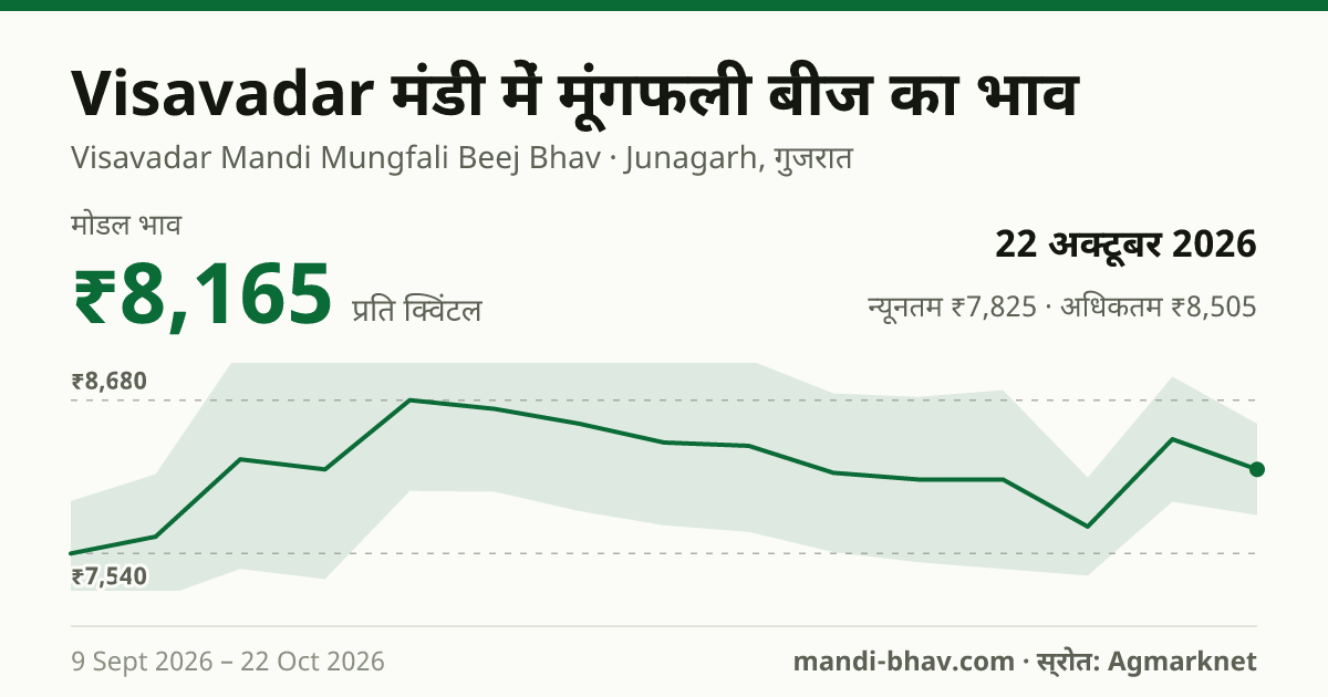 Visavadar मंडी में मूंगफली बीज का भाव 22 अक्टूबर 2026: मोडल ₹8,165 प्रति क्विंटल, भाव के रुझान का चार्ट