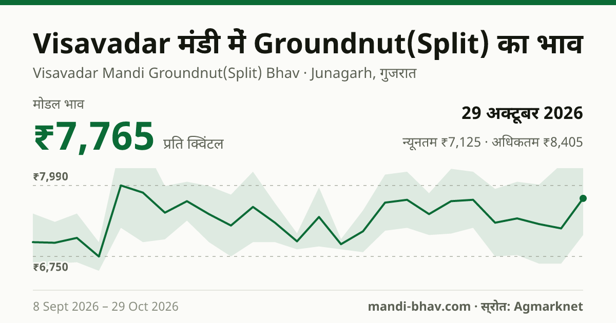 Visavadar मंडी में Groundnut(Split) का भाव 29 अक्टूबर 2026: मोडल ₹7,765 प्रति क्विंटल, भाव के रुझान का चार्ट