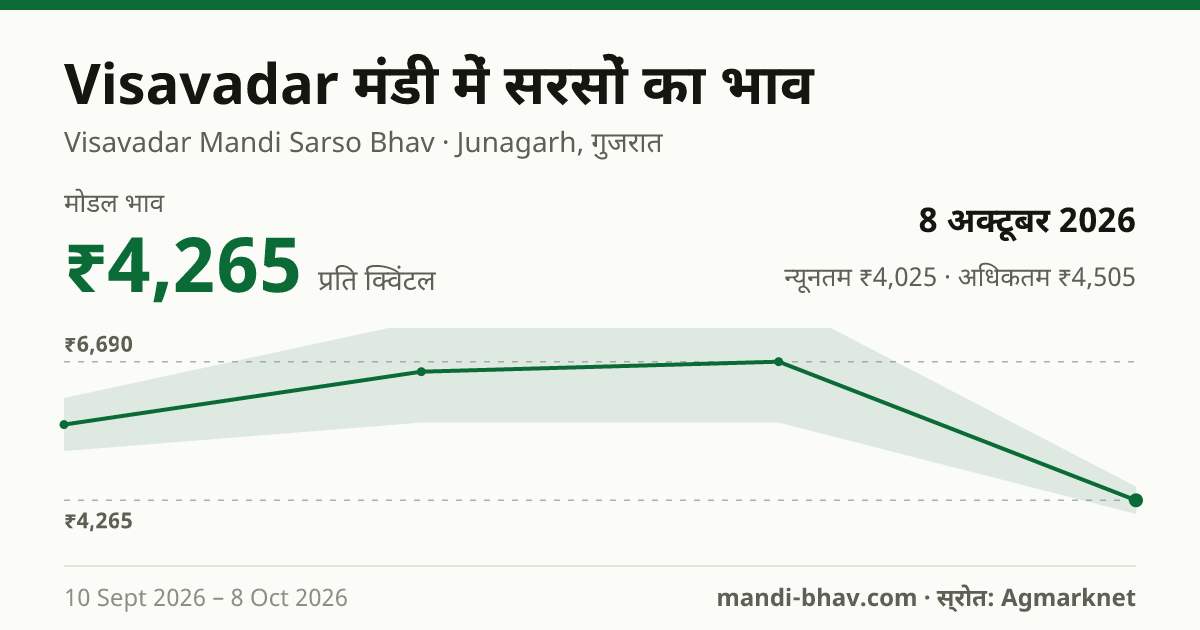 Visavadar मंडी में सरसों का भाव 8 अक्टूबर 2026: मोडल ₹4,265 प्रति क्विंटल, भाव के रुझान का चार्ट