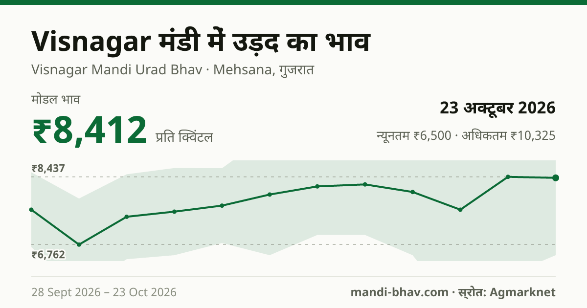 Visnagar मंडी में उड़द का भाव 23 अक्टूबर 2026: मोडल ₹8,412 प्रति क्विंटल, भाव के रुझान का चार्ट
