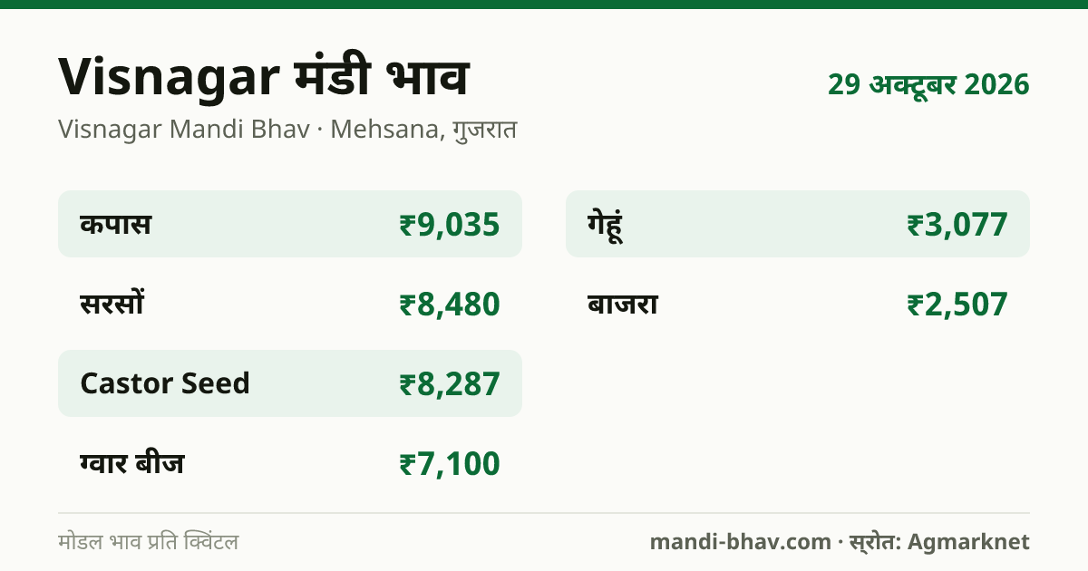 Visnagar मंडी भाव 29 अक्टूबर 2026: फसलवार मोडल रेट प्रति क्विंटल