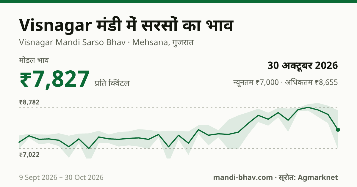 Visnagar मंडी में सरसों का भाव 30 अक्टूबर 2026: मोडल ₹7,827 प्रति क्विंटल, भाव के रुझान का चार्ट