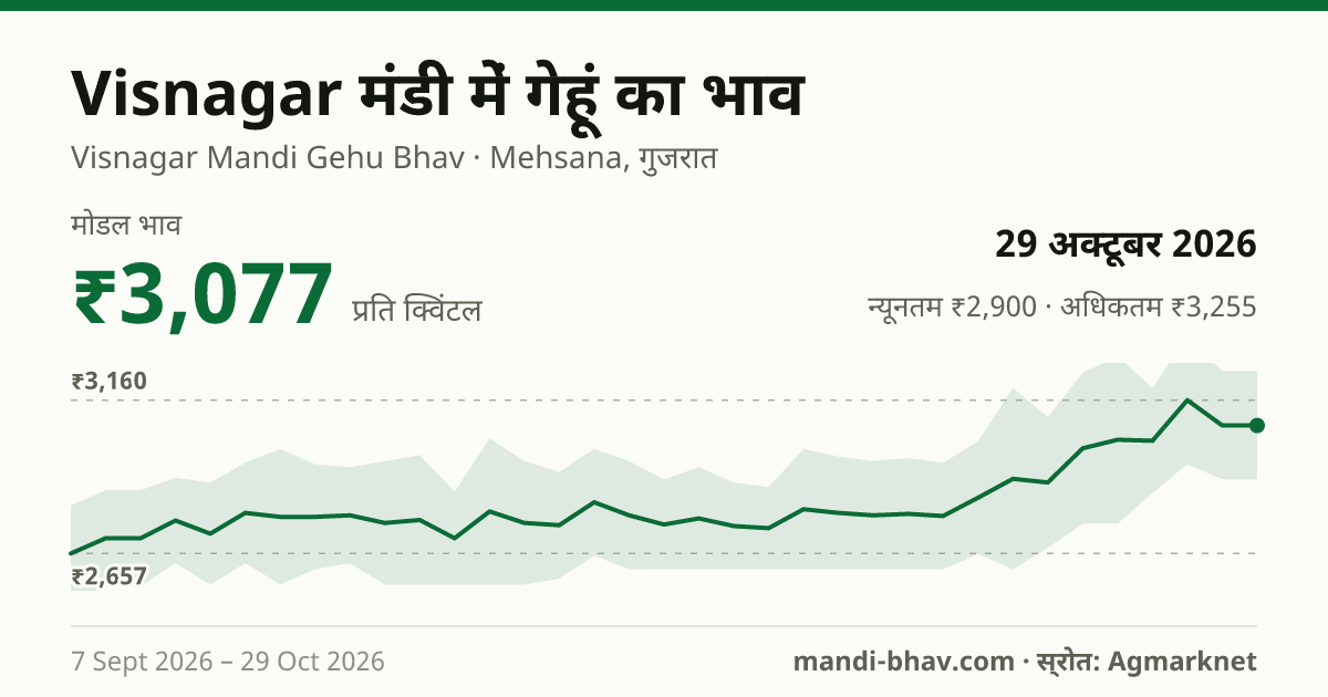 Visnagar मंडी में गेहूं का भाव 29 अक्टूबर 2026: मोडल ₹3,077 प्रति क्विंटल, भाव के रुझान का चार्ट