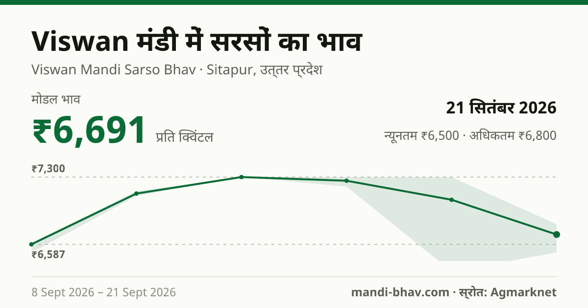 Viswan मंडी में सरसों का भाव 21 सितंबर 2026: मोडल ₹6,691 प्रति क्विंटल, भाव के रुझान का चार्ट