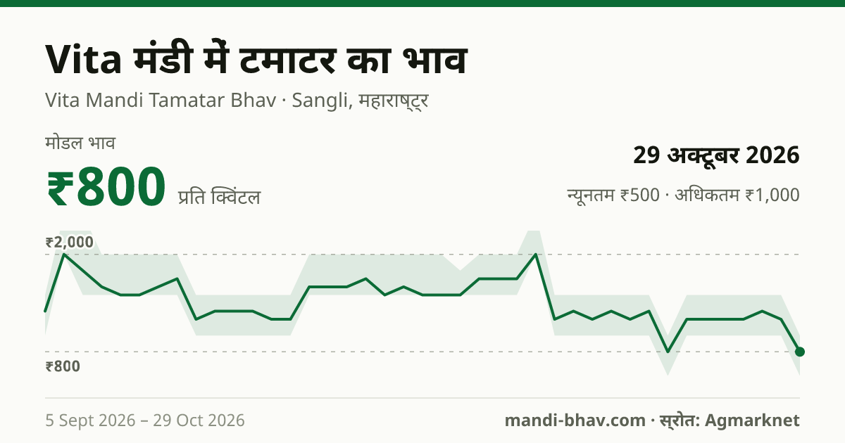 Vita मंडी में टमाटर का भाव 29 अक्टूबर 2026: मोडल ₹800 प्रति क्विंटल, भाव के रुझान का चार्ट