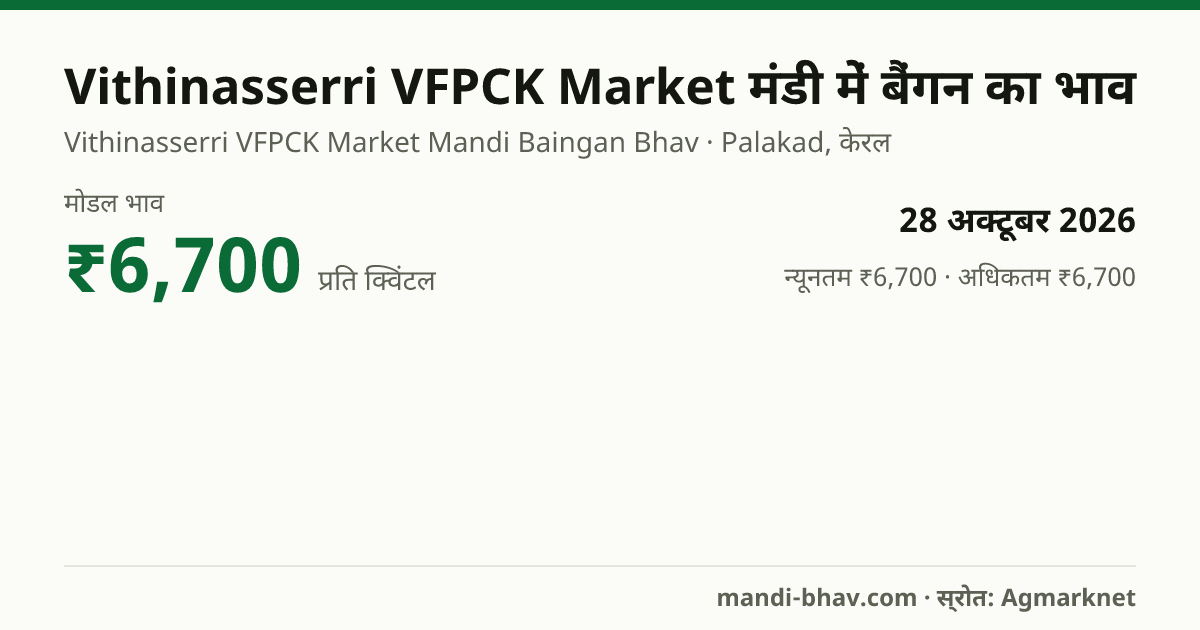 Vithinasserri VFPCK Market मंडी में बैंगन का भाव 28 अक्टूबर 2026: मोडल ₹6,700 प्रति क्विंटल, भाव के रुझान का चार्ट