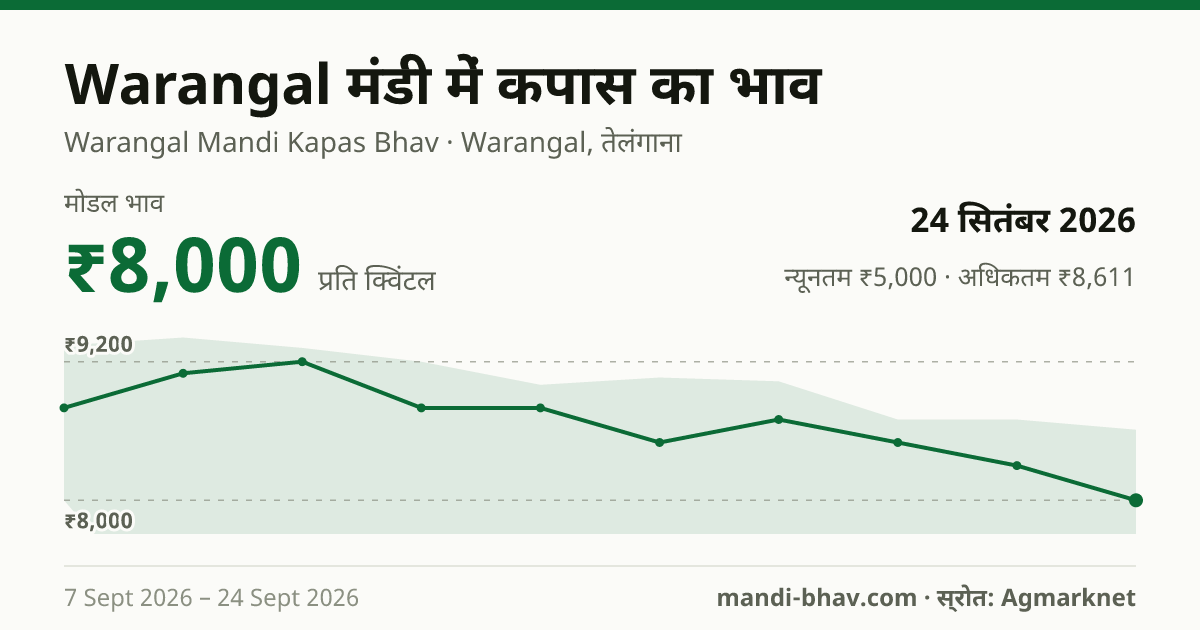 Warangal मंडी में कपास का भाव 24 सितंबर 2026: मोडल ₹8,000 प्रति क्विंटल, भाव के रुझान का चार्ट