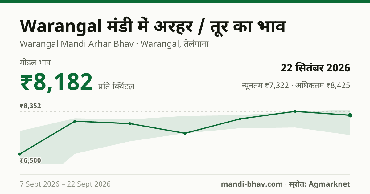 Warangal मंडी में अरहर / तूर का भाव 22 सितंबर 2026: मोडल ₹8,182 प्रति क्विंटल, भाव के रुझान का चार्ट