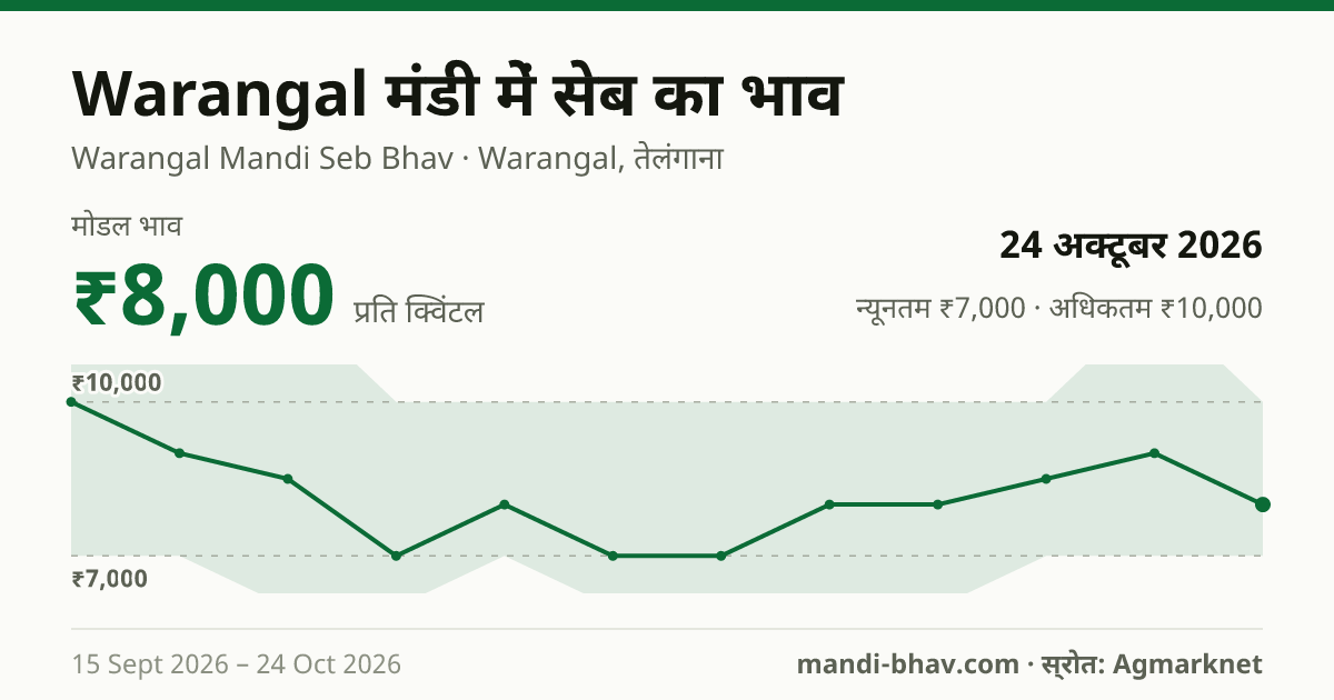 Warangal मंडी में सेब का भाव 24 अक्टूबर 2026: मोडल ₹8,000 प्रति क्विंटल, भाव के रुझान का चार्ट
