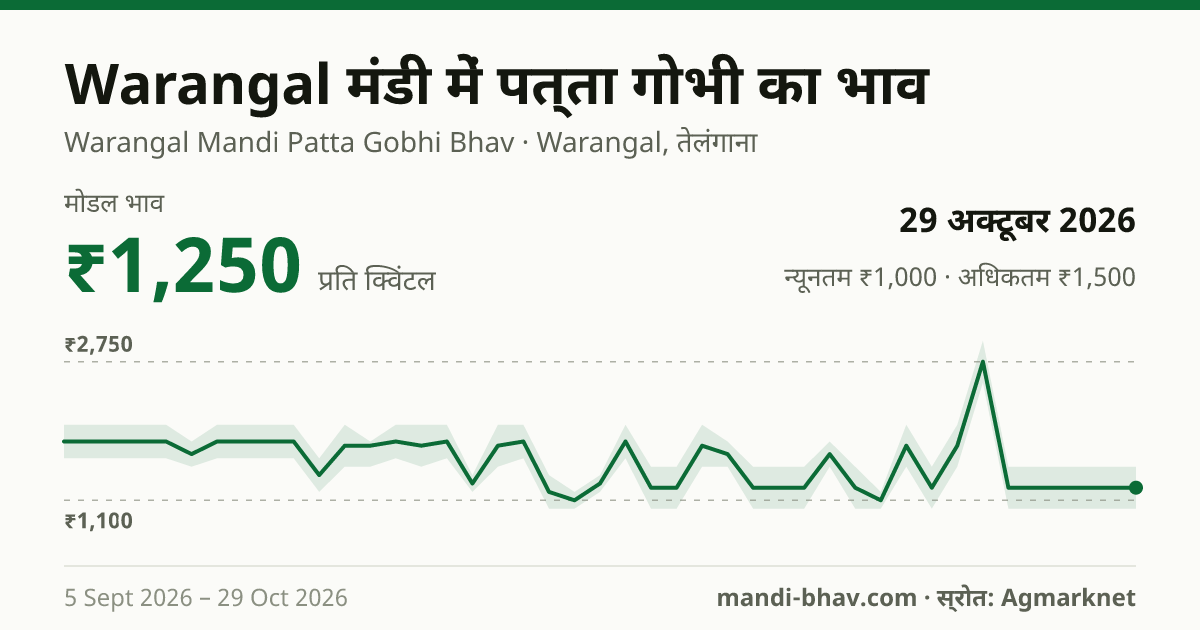 Warangal मंडी में पत्ता गोभी का भाव 29 अक्टूबर 2026: मोडल ₹1,250 प्रति क्विंटल, भाव के रुझान का चार्ट