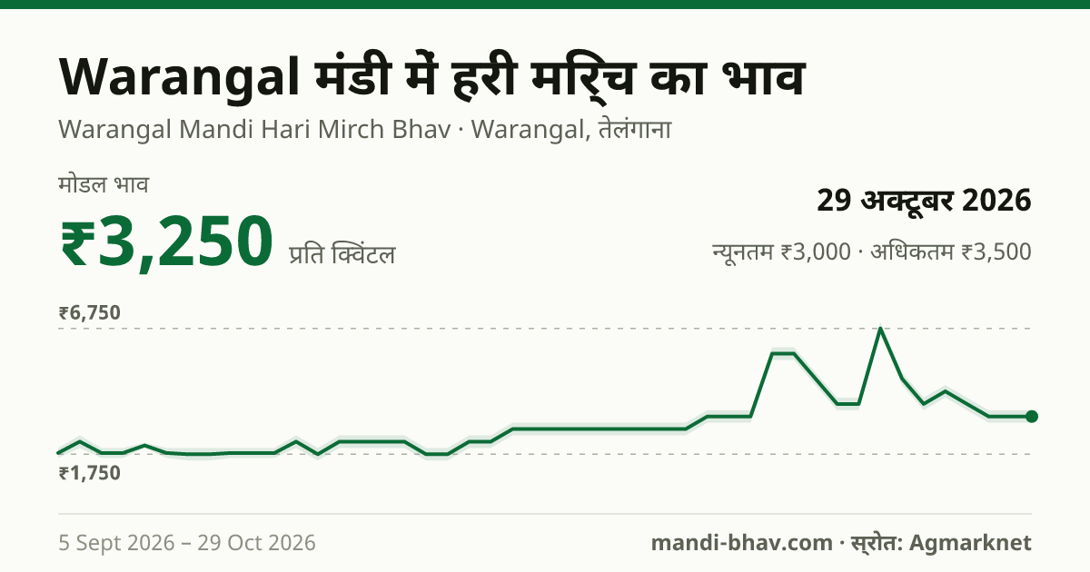 Warangal मंडी में हरी मिर्च का भाव 29 अक्टूबर 2026: मोडल ₹3,250 प्रति क्विंटल, भाव के रुझान का चार्ट