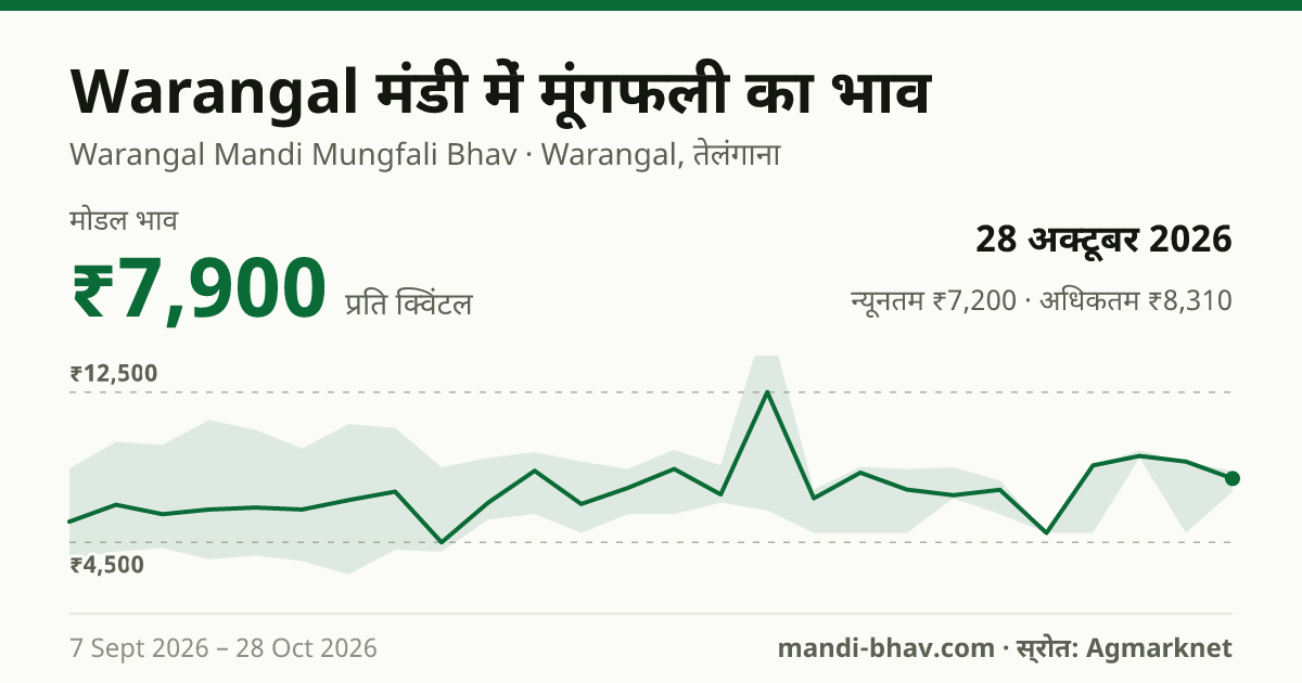 Warangal मंडी में मूंगफली का भाव 28 अक्टूबर 2026: मोडल ₹7,900 प्रति क्विंटल, भाव के रुझान का चार्ट