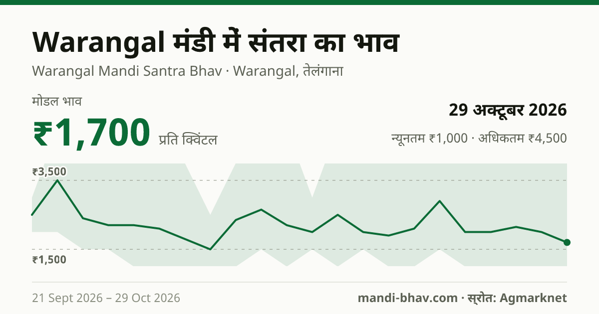 Warangal मंडी में संतरा का भाव 29 अक्टूबर 2026: मोडल ₹1,700 प्रति क्विंटल, भाव के रुझान का चार्ट