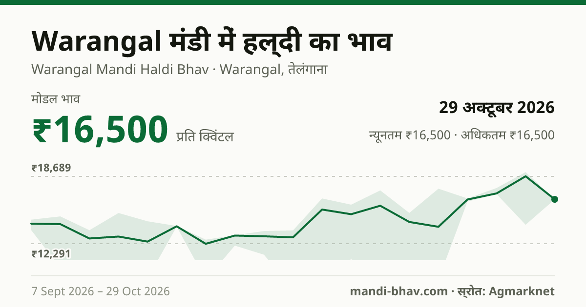 Warangal मंडी में हल्दी का भाव 29 अक्टूबर 2026: मोडल ₹16,500 प्रति क्विंटल, भाव के रुझान का चार्ट