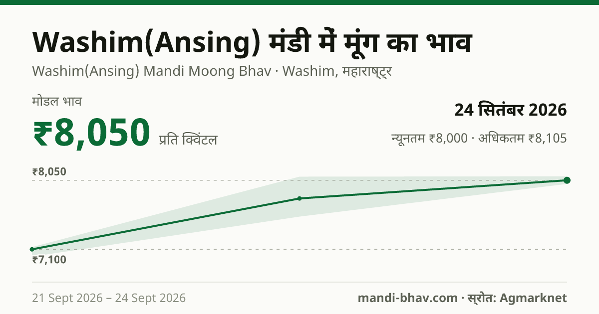 Washim(Ansing) मंडी में मूंग का भाव 24 सितंबर 2026: मोडल ₹8,050 प्रति क्विंटल, भाव के रुझान का चार्ट