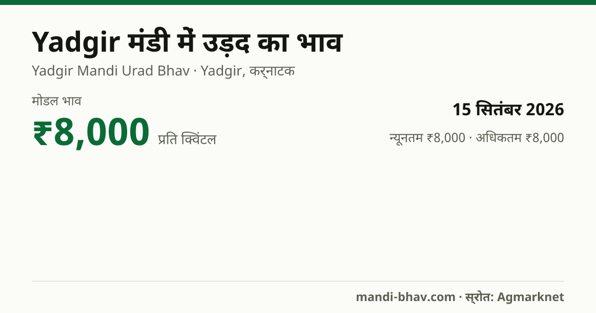 Yadgir मंडी में उड़द का भाव 15 सितंबर 2026: मोडल ₹8,000 प्रति क्विंटल, भाव के रुझान का चार्ट