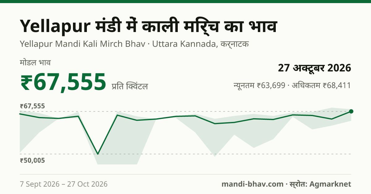 Yellapur मंडी में काली मिर्च का भाव 27 अक्टूबर 2026: मोडल ₹67,555 प्रति क्विंटल, भाव के रुझान का चार्ट