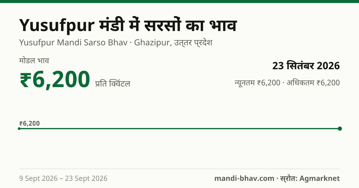 Yusufpur मंडी में सरसों का भाव 23 सितंबर 2026: मोडल ₹6,200 प्रति क्विंटल, भाव के रुझान का चार्ट
