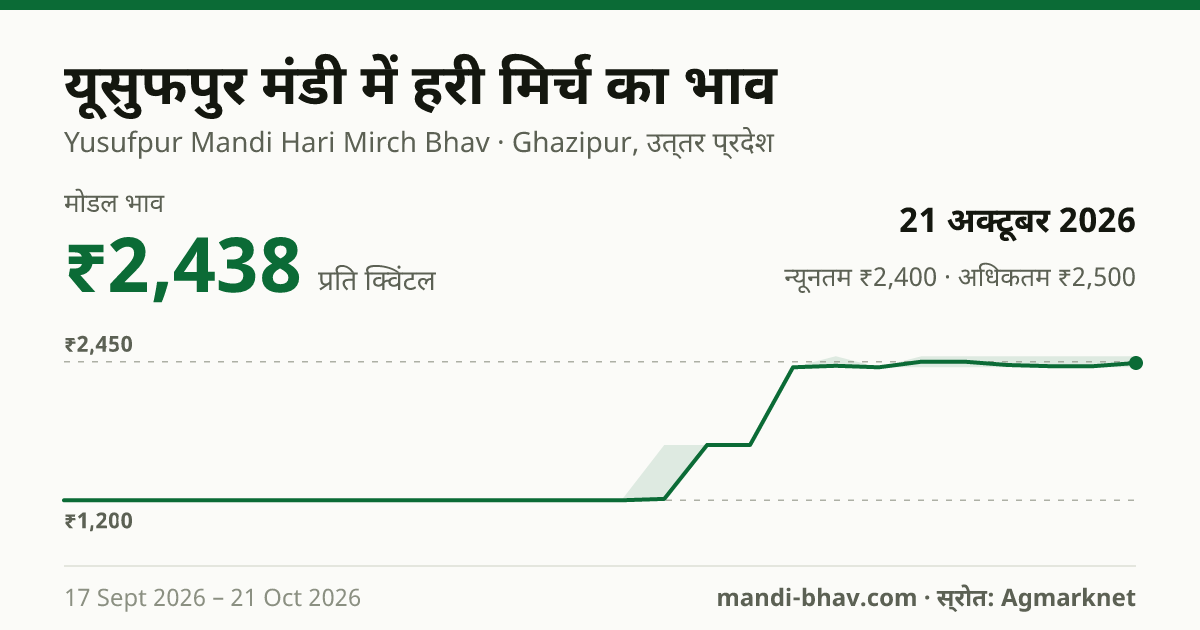 Yusufpur मंडी में हरी मिर्च का भाव 21 अक्टूबर 2026: मोडल ₹2,438 प्रति क्विंटल, भाव के रुझान का चार्ट