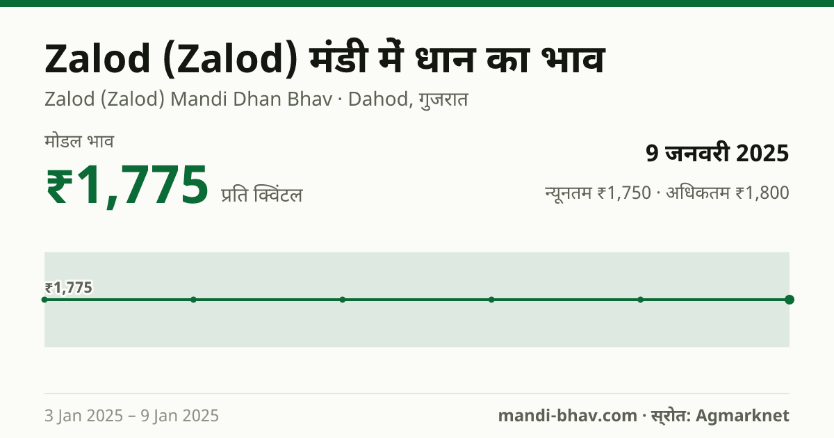 Zalod (Zalod) मंडी में धान का भाव 9 जनवरी 2025: मोडल ₹1,775 प्रति क्विंटल, भाव के रुझान का चार्ट