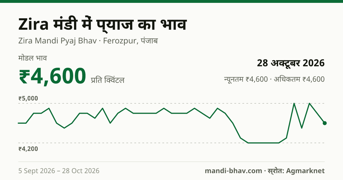 Zira मंडी में प्याज का भाव 28 अक्टूबर 2026: मोडल ₹4,600 प्रति क्विंटल, भाव के रुझान का चार्ट
