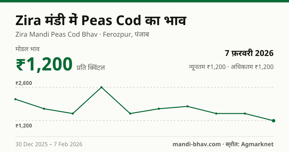 Zira मंडी में Peas Cod का भाव 7 फ़रवरी 2026: मोडल ₹1,200 प्रति क्विंटल, भाव के रुझान का चार्ट
